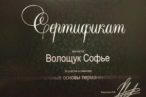 Диплом / сертификат №4 — Волощук Софья Анатольевна