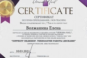 Диплом / сертификат №9 — Волжанина Елена Валентиновна