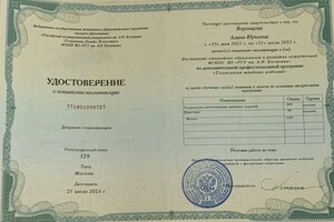 Диплом / сертификат №3 — Воронцова Алина Юрьевна