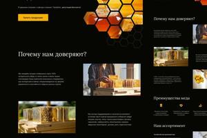 Landing page был сделан в стиле миниморфизма. Проработав структуру, тексты и дизайн я получила вот такой дизайн.;... — Збырчог Олеся Николаевна