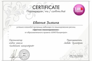 Диплом / сертификат №520 — Зимина Евгения Викторовна