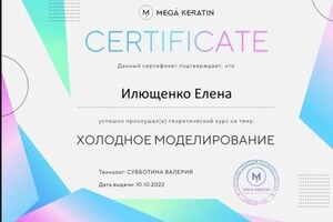 Диплом / сертификат №1 — Илющенко Елена Михайловна