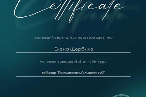 Диплом / сертификат №3 — Щербина Елена Игоревна