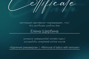 Диплом / сертификат №4 — Щербина Елена Игоревна