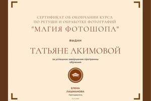 Диплом / сертификат №7 — Акимова Татьяна Александровна