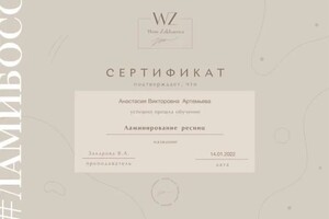 Диплом / сертификат №4 — Артемьева Анастасия Викторовна