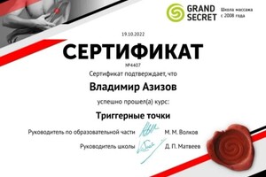 Диплом / сертификат №6 — Азизов Владимир Игоревич