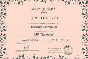 Диплом / сертификат №8 — Болгару Екатерина Сергеевна