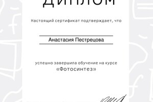 Диплом / сертификат №2 — Борисова Анастасия Владиславовна