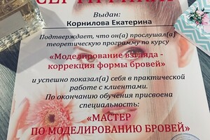 Моделирование бровей — Корнилова Екатерина Юрьевна