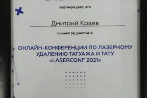 Диплом / сертификат №3 — Краев Дмитрий Павлович