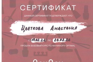 Диплом / сертификат №2 — Куцепова-Цветкова Анастасия Константиновна