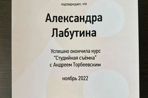 Диплом / сертификат №3 — Лабутина Александра Игоревна