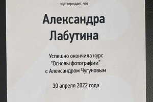 Диплом / сертификат №4 — Лабутина Александра Игоревна