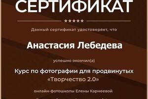 Диплом / сертификат №1 — Лебедева Анастасия Геннадьевна