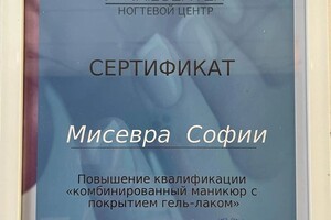 Диплом / сертификат №4 — Мисевра София Сергеевна