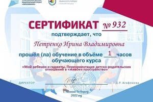 Диплом / сертификат №11 — Петренко Ирина Владимировна