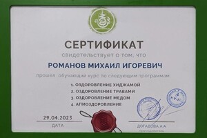 Диплом / сертификат №3 — Романов Михаил Игоревич