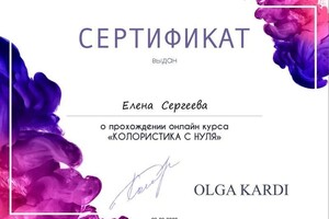 Диплом / сертификат №3 — Сергеева Елена Сергеевна