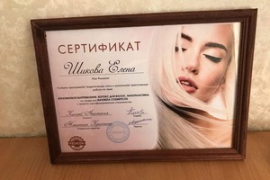 Диплом / сертификат №1 — Шикова Елена Владимировна