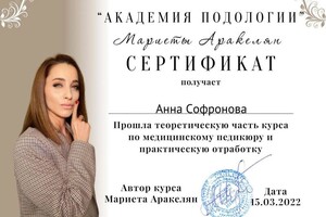 Диплом / сертификат №7 — Софронова Анна Александровна