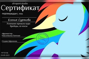 Диплом / сертификат №6 — Сурякова Есения Сергеевна