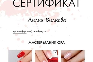 Диплом / сертификат №1 — Вилкова Лилия Александровна