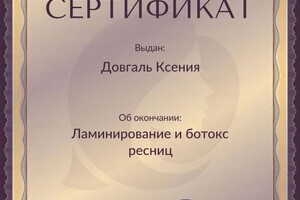 Диплом / сертификат №8 — Довгаль Ксения Владимировна