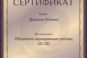 Диплом / сертификат №9 — Довгаль Ксения Владимировна