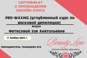 Диплом / сертификат №3 — Фетисова Зоя Анатольевна