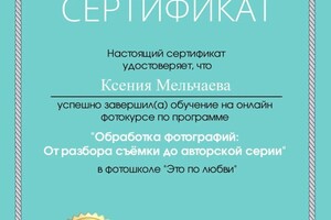 Диплом / сертификат №1 — Мельчаева Ксения Сергеевна