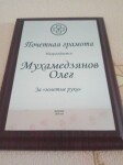 Диплом / сертификат №3 — Мухамедзянов Олег Александрович