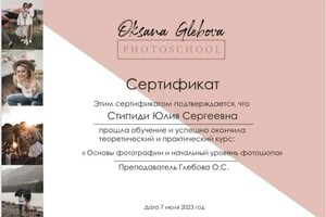 Диплом / сертификат №1 — Муравьева Юлия Сергеевна