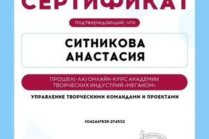 Диплом / сертификат №2 — Ситникова Анастасия Владимировна