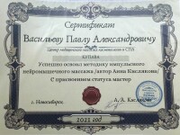 Диплом / сертификат №5 — Васильев Павел Александрович