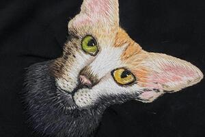 Кошка, сделанная по мотивам 6в1; Каждая часть кошки-это одна из 6; В одной кошке удалось разместить 6 кошек с разными... — Бэй Наталья Дмитриевна