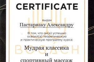 Диплом / сертификат №12 — Пастарнак Александр Сергеевич
