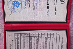 Диплом / сертификат №2 — Жугару Елена Олеговна