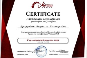 Диплом / сертификат №2 — Дроздович Людмила Геннадьевна