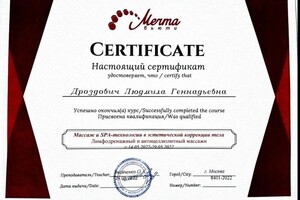 Диплом / сертификат №6 — Дроздович Людмила Геннадьевна