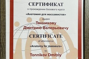 Диплом / сертификат №13 — Тонников Дмитрий Валерьевич