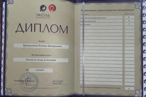 Диплом / сертификат №12 — Ерыкалова Ксения Валерьевна