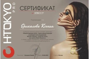Диплом / сертификат №9 — Ерыкалова Ксения Валерьевна