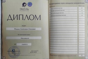 Диплом / сертификат №1 — Мишик Светлана Олеговна