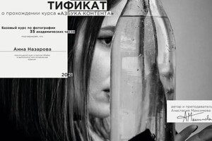 Диплом / сертификат №3 — Назарова Анна Константиновна