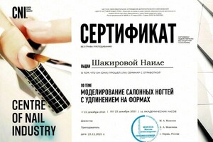 Диплом / сертификат №12 — Шакирова Наиля Нагкиповна