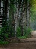 Сунцов Дмитрий — фотограф (Пермь)