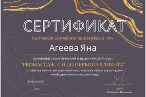 Диплом / сертификат №10 — Агеева Яна Васильевна