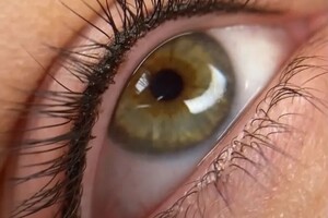 Барсегянц Алина Александровна — Портфолио №11