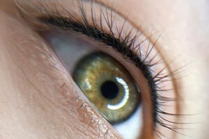 Барсегянц Алина Александровна — Портфолио №12